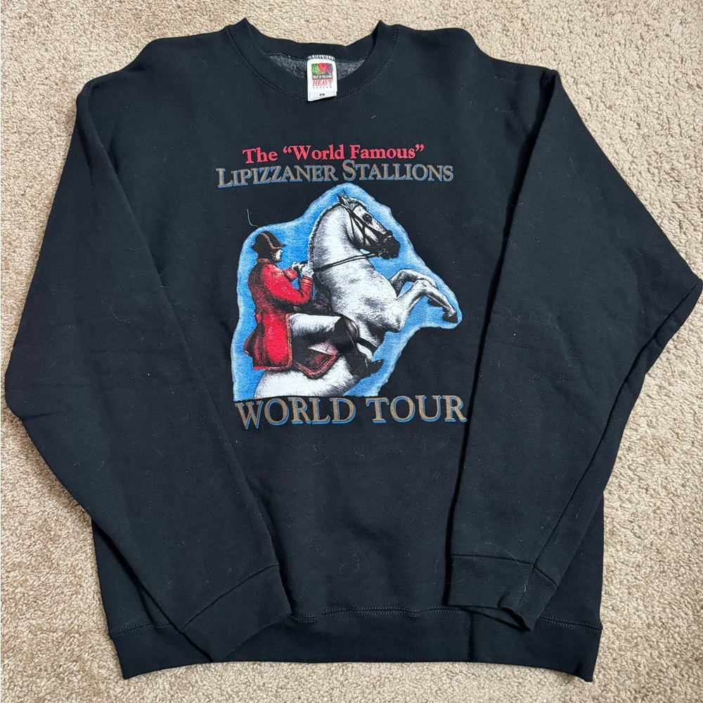 Lipizzaners stallions
